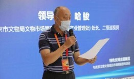 天下ip最新爆料是什么,揭秘热门IP背后的秘密与未来走向