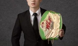 王鹏飞爆料人员名单最新,揭秘神秘人员名单背后的惊人真相