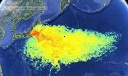 排放核废水最新爆料,最新爆料揭示环境危机
