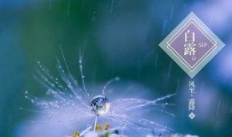 白露模型最新爆料,揭秘未来科技发展趋势